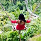 Goran Bogicevic/Shutterstock.com