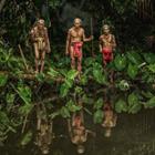 CW Pix/Shutterstock.com