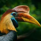 Ondrej Prosicky/Shutterstock.com