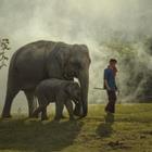 saravutpics/Shutterstock.com