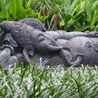Cornelius Krishna Tedjo/Shutterstock.com