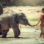 SantiPhotoSS/Shutterstock.com