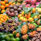 johan.lebedevski/Shutterstock.com