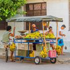 Dave85/Shutterstock.com