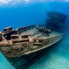 Richard Whitcombe/Shutterstock.com