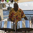 Lisa F. Young/Shutterstock.com