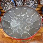 Leonard Zhukovsky/Shutterstock.com