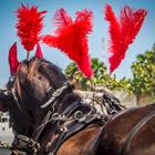 Gail Johnson/Shutterstock.com