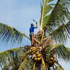 paul prescott/Shutterstock.com