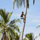 Jaromir Chalabala/Shutterstock.com