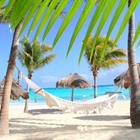 Tono Balaguer/Shutterstock.com