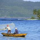 Don Mammoser/Shutterstock.com