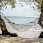 OlegD/Shutterstock.com