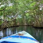 Leif Ingvarson/Shutterstock.com