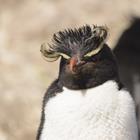 buenaventura/Shutterstock.com