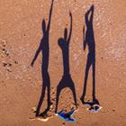 abriendomundo/Shutterstock.com