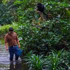 Pelikh Alexey/Shutterstock.com