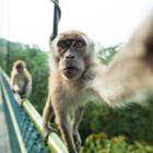 nomads.team/Shutterstock.com