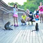 huntergol hp/Shutterstock.com