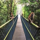 Jesslyn Tan Yu Xuan/Shutterstock.com