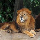 Anna Klepatckaya/Shutterstock.com