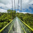 Filipe.Lopes/Shutterstock.com