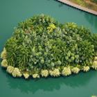 Fedor Sidorov/Shutterstock.com