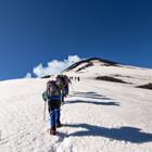 Macca Sherifi/Shutterstock.com