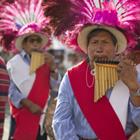 Larissa Pereira/Shutterstock.com