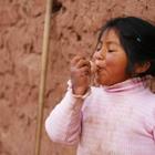 Ruslana Iurchenko/Shutterstock.com