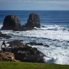 LMspencer/Shutterstock.com