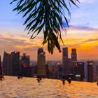 Tatiana Popova/Shutterstock.com