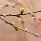 Andrey Solovev/Shutterstock.com