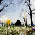 Menna/Shutterstock.com