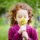 Yuliya Evstratenko/Shutterstock.com