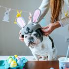 KikoStock/Shutterstock.com