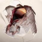 Eric Isselee/Shutterstock.com