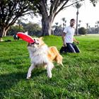 elbud/Shutterstock.com