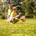 EvgeniiAnd/Shutterstock.com