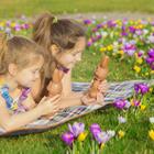 Vitalinka/Shutterstock.com