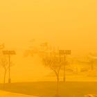 Rus S/Shutterstock.com