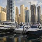 Curioso/Shutterstock.com