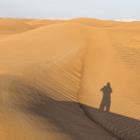 MevZup/Shutterstock.com
