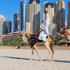 Laborant/Shutterstock.com