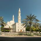 Nadezda Murmakova/Shutterstock.com