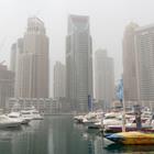 Pelikh Alexey/Shutterstock.com