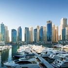 Iakov Kalinin/Shutterstock.com