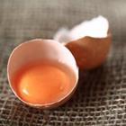 BeTa-Artworks/stock.adobe.com