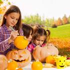 Sergey Novikov/stock.adobe.com