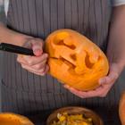 karinauvarova/stock.adobe.com